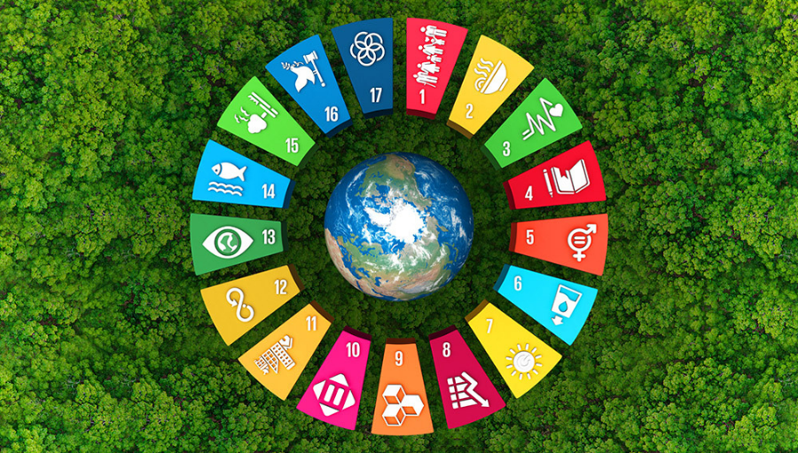 Community participants working on an environmental initiative together